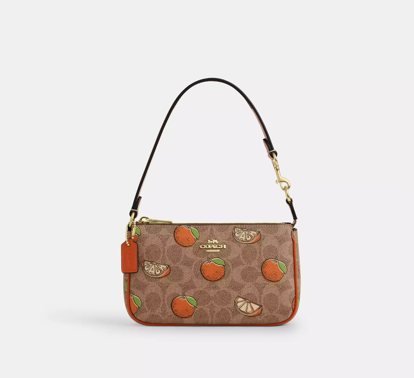 Coach Nolita 19