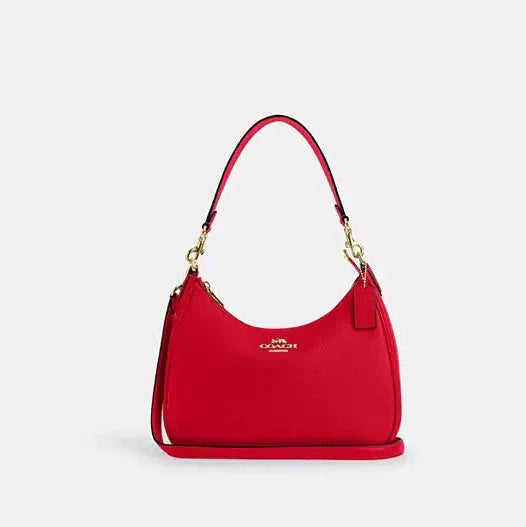 Coach Teri Hobo Bag