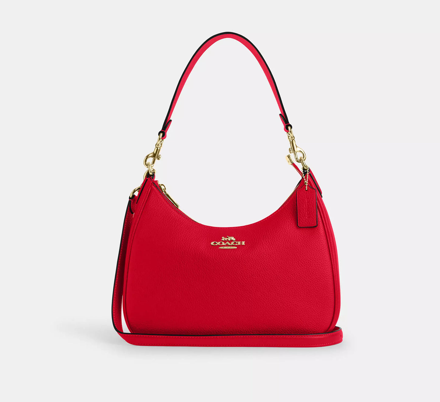 Coach Teri Hobo Bag