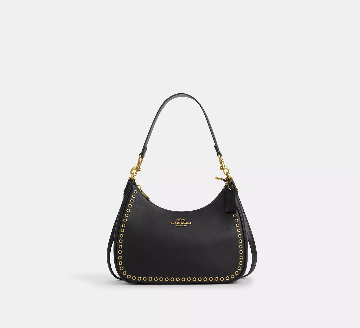 Coach Teri Hobo Bag