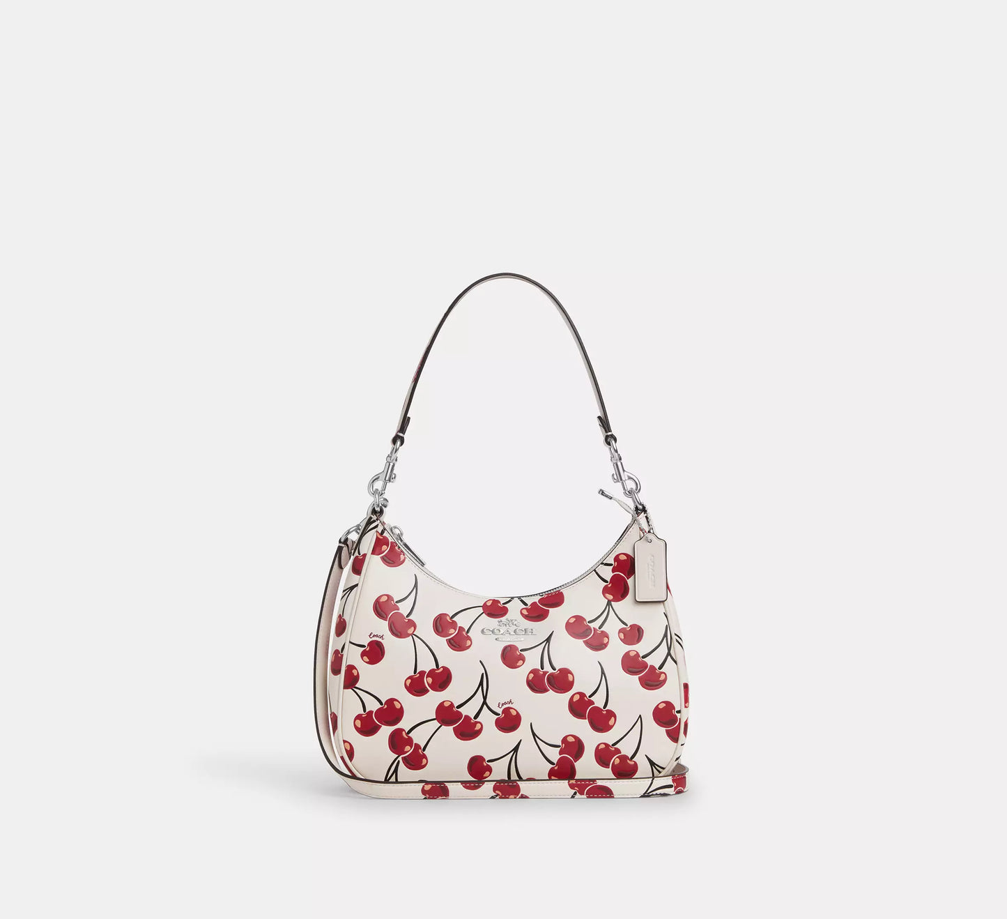 Coach Teri Hobo Bag